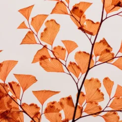 Plante immergée luthi terracotta h26