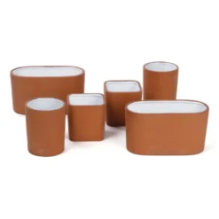 Plateau 6 aromates à cultiver