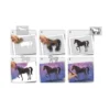 Pochoirs artistiques geants les chevaux