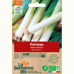 Poireau géant d'hiver bio