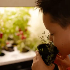 Potager d'intérieur liv