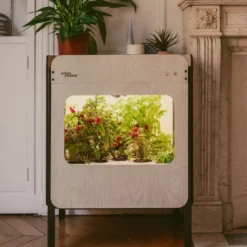 Potager d'intérieur liv - vitré