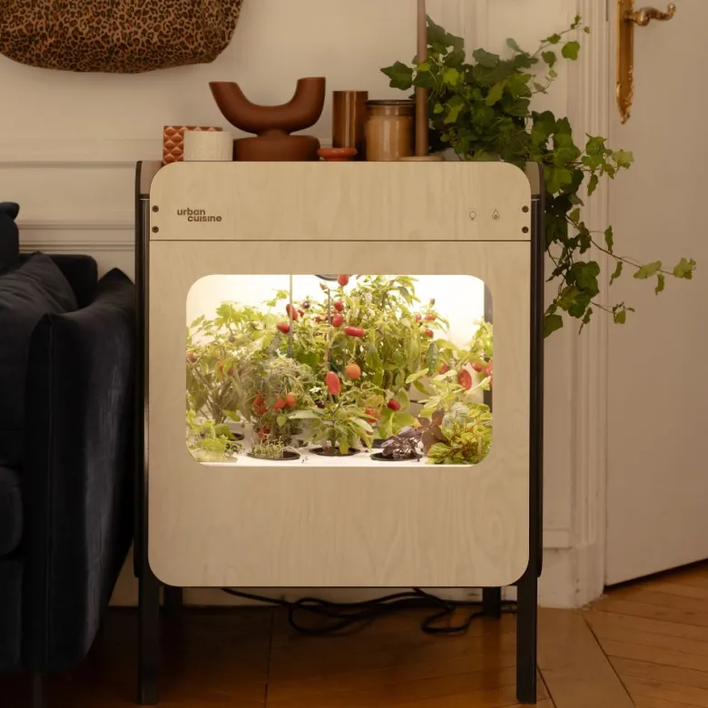 Potager d'intérieur liv - vitré
