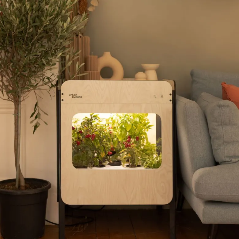 Potager d'intérieur liv - vitré
