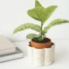 Pot autonome