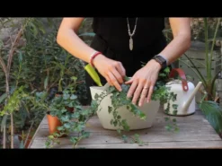 Pot mural blanc