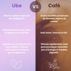 Poudre d'UBE naturelle Concentration Digestion Énergie