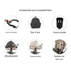 Poussette brav 2in1 br-02 graphite