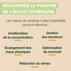Pranarom - brume dynamisante energy - bio