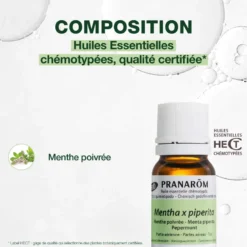 Pranarom - huile essentielle de menthe poivrée - bio