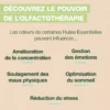Pranarom - roll-on diet - bio