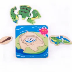 Puzzle du cycle de vie - grenouille