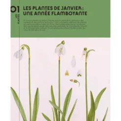 Quatre saisons au jardin