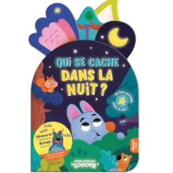 Qui se cache dans la nuit ?