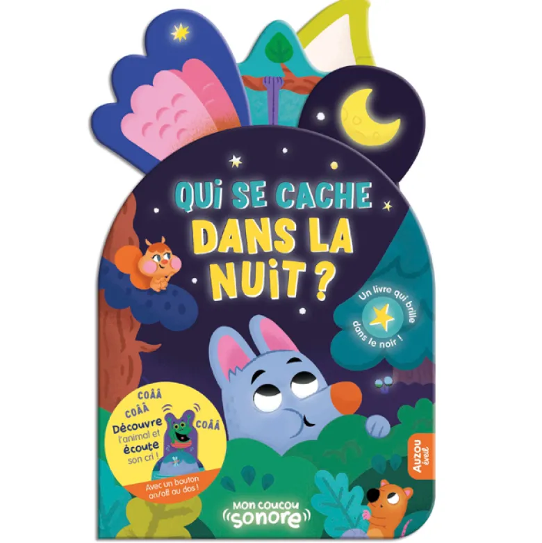 Qui se cache dans la nuit ?