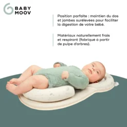 Réducteur de lit cosydream babymoov
