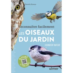 Reconnaître facilement les oiseaux du jardin
