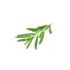 Romarin à cinéole - huile essentielle bio - 10ml garantie chromacert® - chémotyp