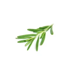 Romarin à cinéole - huile essentielle bio - 10ml garantie chromacert® - chémotyp