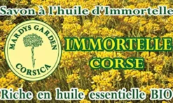 Savon régénérant immortelle corse 100g