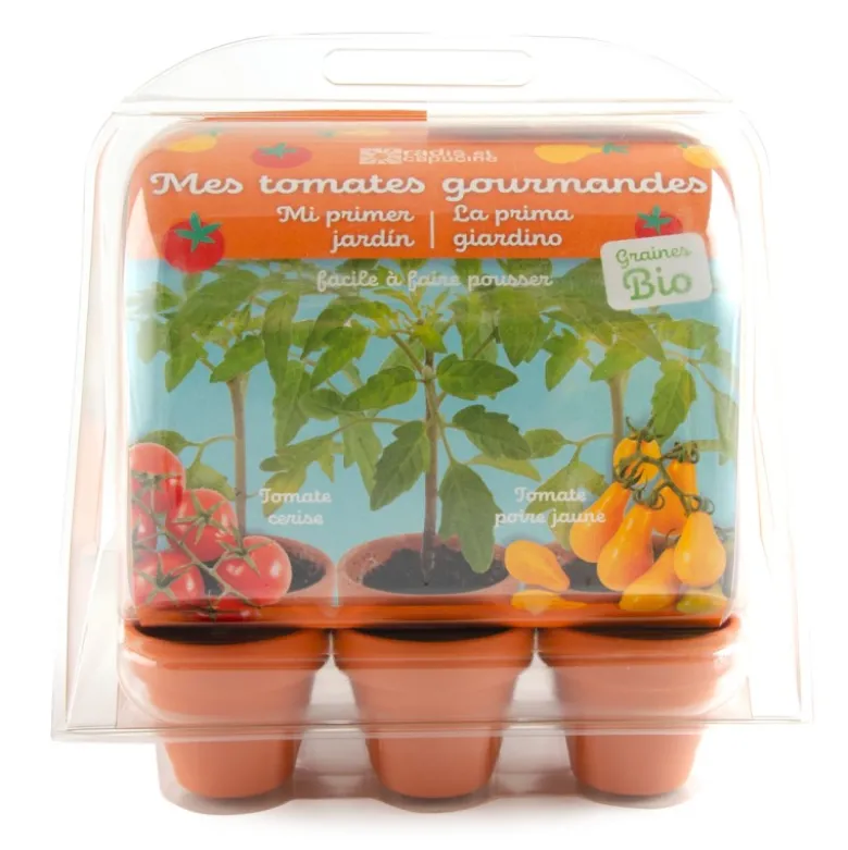 Serre enfant - tomates bio à cultiver