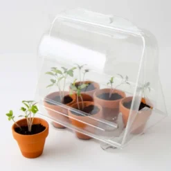 Serre enfant - tomates bio à cultiver