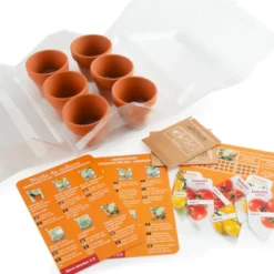 Serre enfant - tomates bio à cultiver
