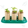 Serre pour apprentis jardiniers