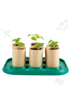 Serre pour apprentis jardiniers