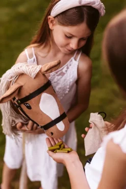 Set d'alimentation pour chevaux