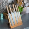 Set de 5 couteaux et support magnétique