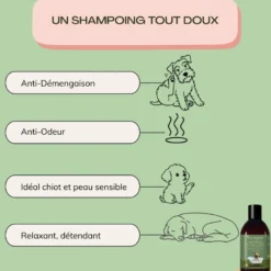 Shampooing bio pour chiens – aloe vera & avoine – vegan, naturel & cruelty free