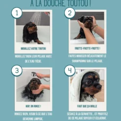 Shampooing bio pour chiens – aloe vera & avoine – vegan, naturel & cruelty free