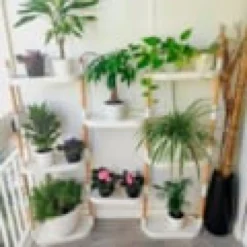 Étagère modulaire pour plantes blanche à 8 plateaux