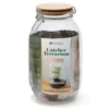 Terrarium à composer soi-même