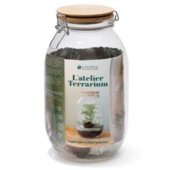Terrarium à composer soi-même