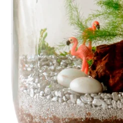 Terrarium à composer soi-même