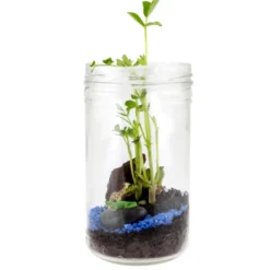 Terrarium de la savane