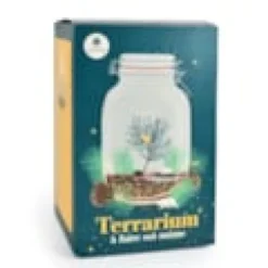 Terrarium forêt magique
