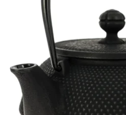 Théière fonte iwachu arare noire 900 ml