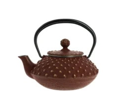 Théière fonte kanbin marron-doré 320 ml