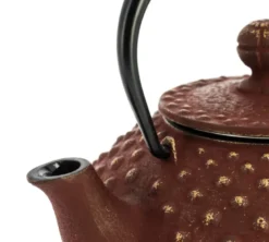 Théière fonte kanbin marron-doré 320 ml