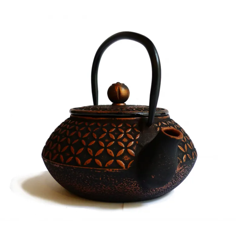 Théière sichuan - 0,6l