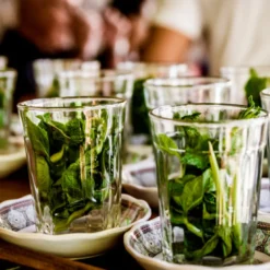 Thé vert bio aux feuilles de menthe
