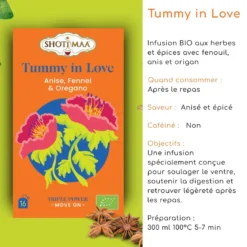 Tisane bio tummy in love – infusion digestive fenouil, anis & épices