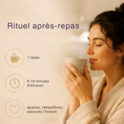 Tisane bio tummy in love – infusion digestive fenouil, anis & épices