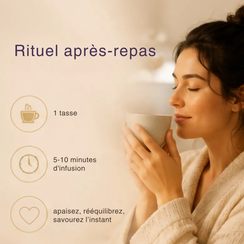 Tisane bio tummy in love – infusion digestive fenouil, anis & épices