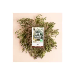 Tisane thym sauvage bio des garrigues