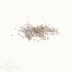 Tomate 1884 bio