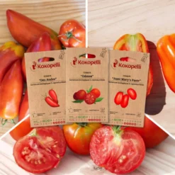 Tomates pour coulis - 3 sachets bio
